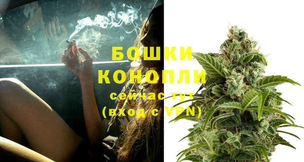 амф Надым