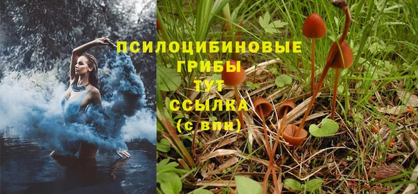 прущие крисы Нея