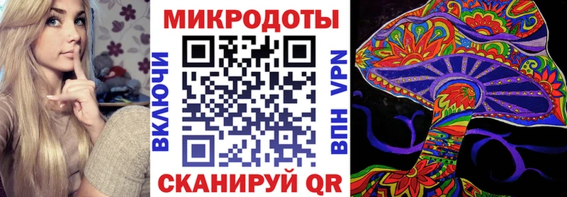 сколько стоит  Ленск  Псилоцибиновые грибы Psilocybe 